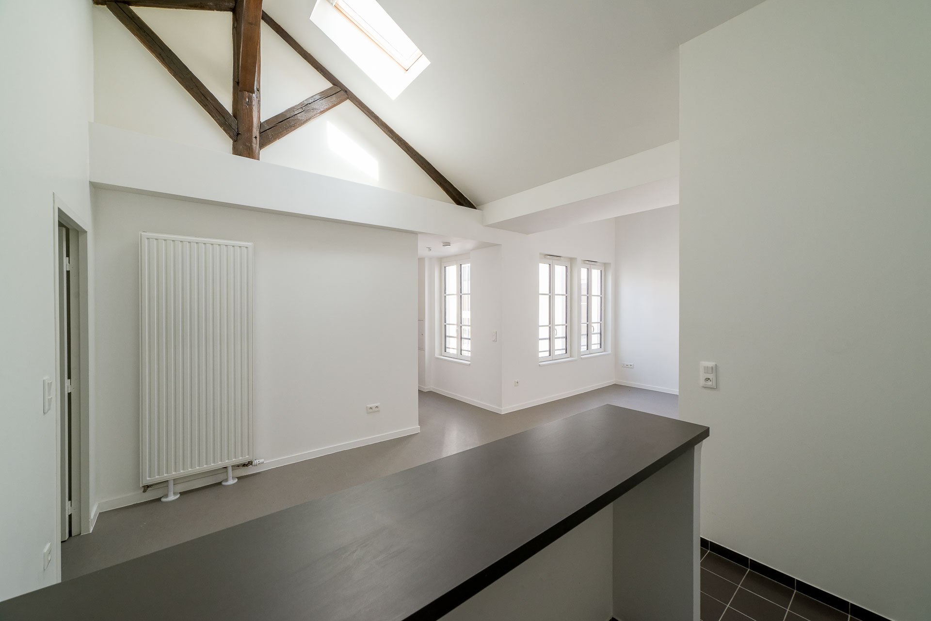 LOGEMENT ATYPIQUE AVEC CUISINE OUVERTE